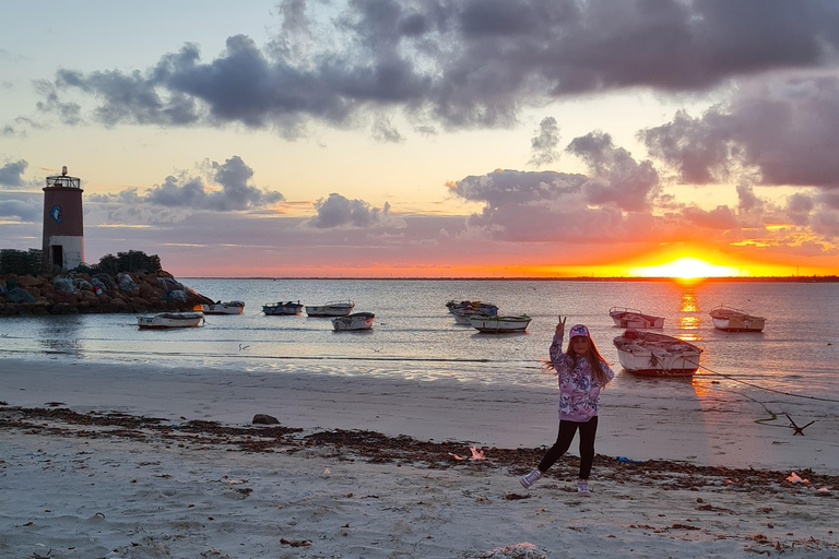 Djerba: Scooter tour of the island Full-day guided tour