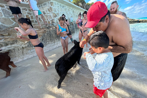 007-Mañana Todo Incluido Nadar con Cerdos en la Isla Rosa007 Todo Incluido-Nadar con cerdos en la Isla Rosa