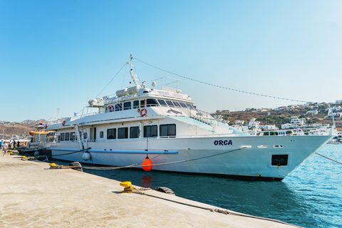 From Mykonos: Delos Guided Tour with Skip-the-Line Tickets Tour in English