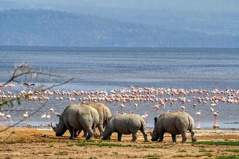 Da Nairobi: escursione al Parco Nazionale del Lago NakuruEscursione al Parco Nazionale del Lago Nakuru senza biglietto d&#039;ingresso