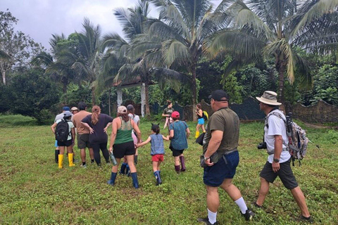 Galápagos : tortues géantes, tunnels de lave et cratèresGalápagos : visite guidée des tortues géantes, des tunnels de lave et des cratères
