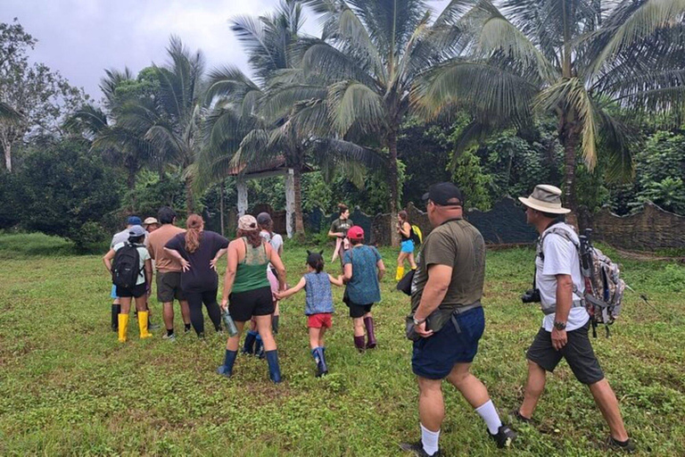 Galápagos : tortues géantes, tunnels de lave et cratèresGalápagos : visite guidée des tortues géantes, des tunnels de lave et des cratères