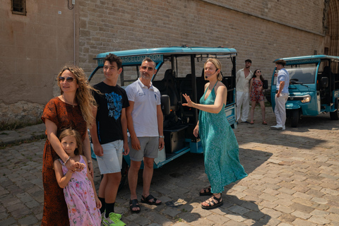 Barcelona: 3-Hour Private Panoramic Tuk-Tuk Tour