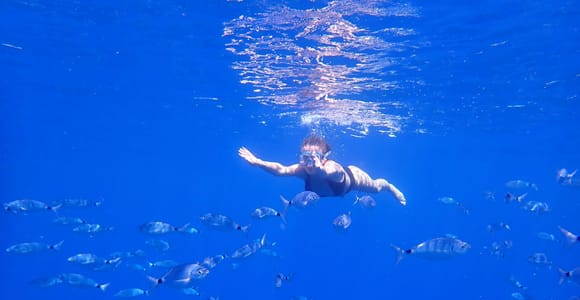 Benidorm: Boat Snorkeling Excursion to Benidorm Island