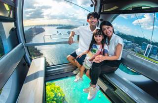 Singapur: Sentosa Cable Car Sky Pass Ticket