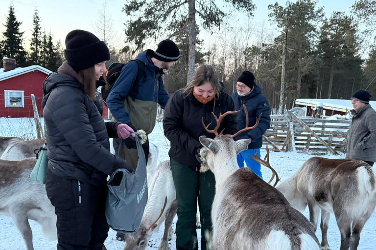 Family Day in the Wild with Lunch