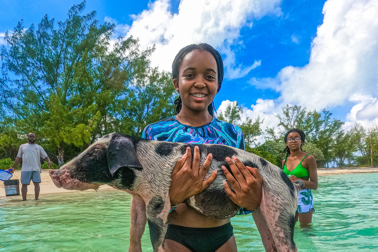 Nassau: Pigs Beach Trip by Boat with Swimming and Feeding