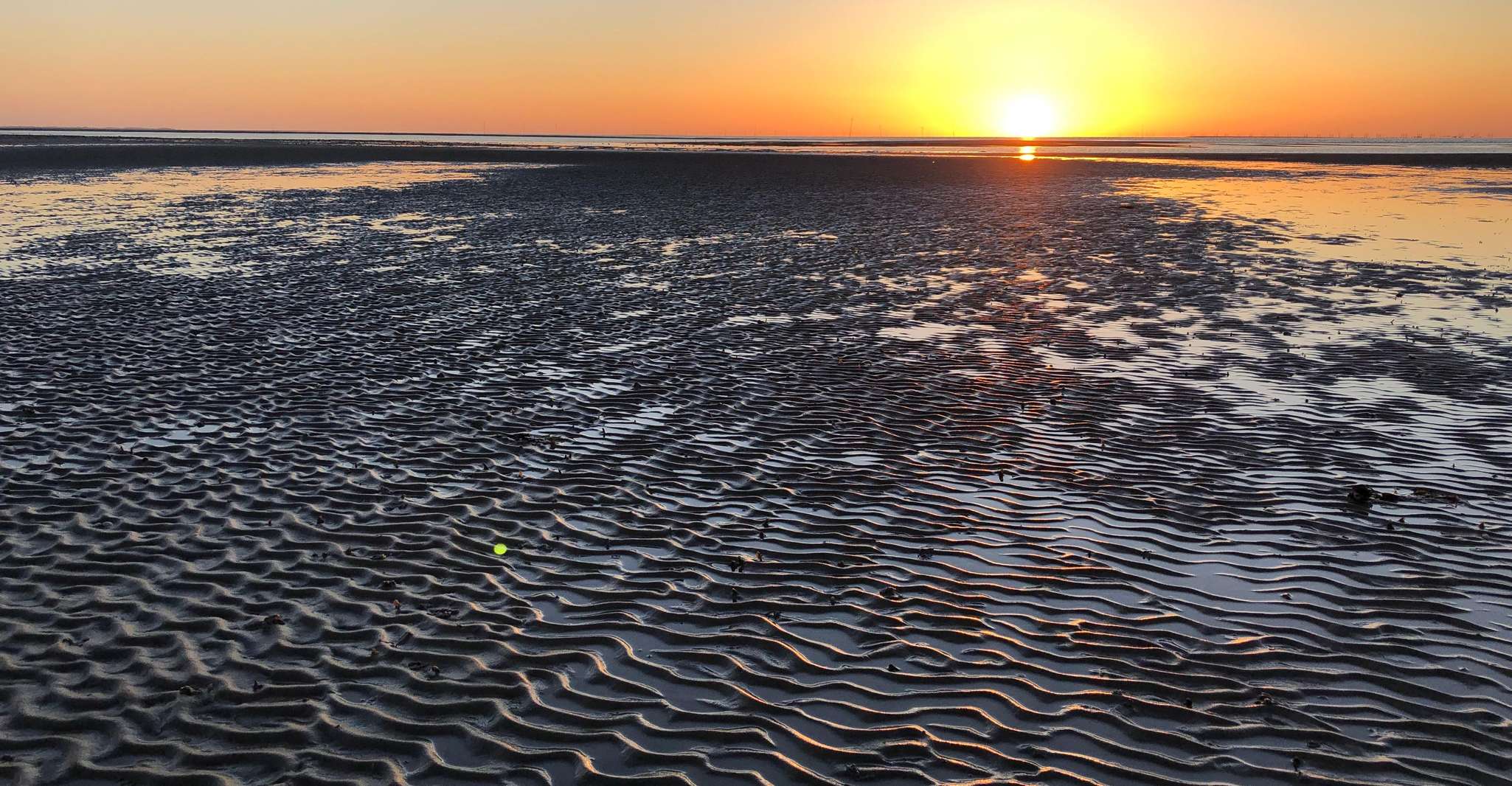 Sylt, Guided Mudflat Hike on the Island - Housity