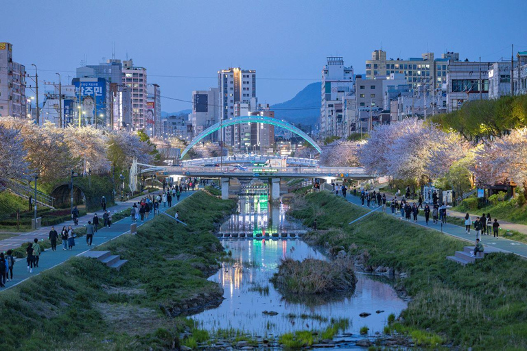 Seoul Private Car & Driver – 9h Custom Day with Pickup