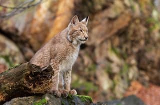 Hamburg: Private Natur- und Landwirtschaftstour durch das Alte Land
