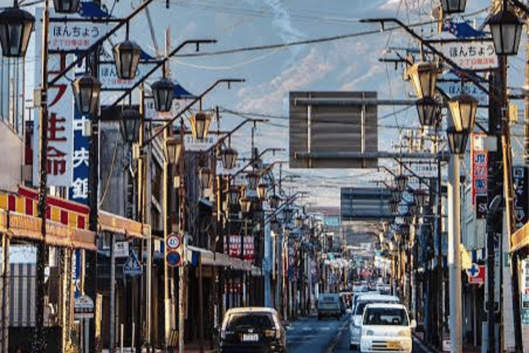 From Tokyo: Mount Fuji Full Day Customizable Private Tour