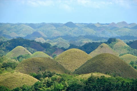 BOHOL: Chocolate Hills, Tarsier, and Loboc River Tour - Image 2
