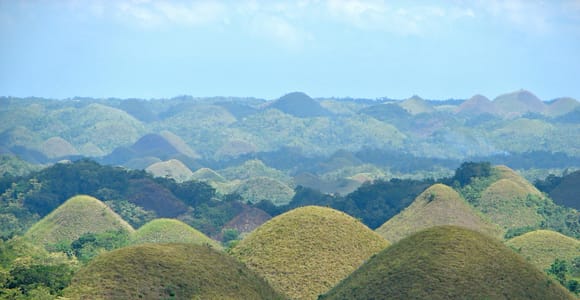 BOHOL: Chocolate Hills, Tarsier, and Loboc River Tour