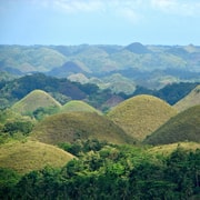 BOHOL: Chocolate Hills, Tarsier, and Loboc River Tour