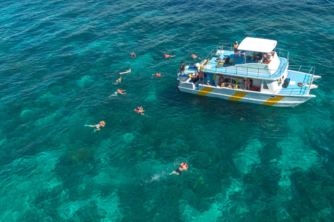 buceo en la isla catalina desde punta cana