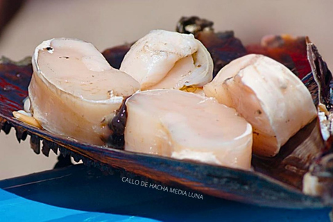 La Paz: Mangrove Adventure, Snorkeling and Shellfish Tasting