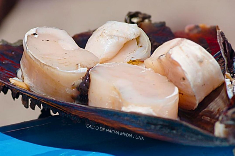 La Paz: Mangrove Adventure, Snorkeling and Shellfish Tasting
