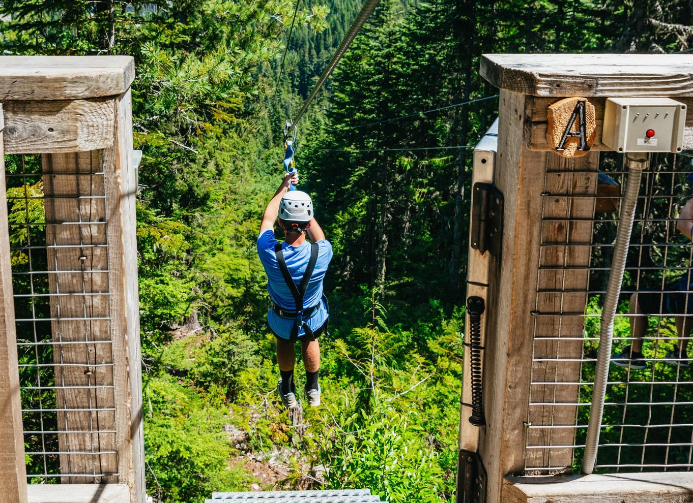 Whistler: Ziplining-oplevelse