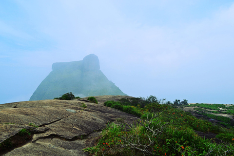 Caves and Waterfalls of Tijuca Forest - by Alan Denis