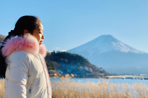 Tokyo: Mount Fuji Private Customizable Tour In Luxury Van