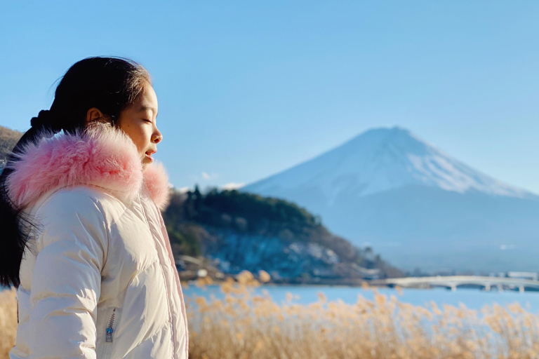 Tokyo: Mount Fuji Private Customizable Tour In Luxury Van