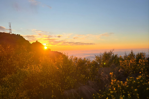 Madeira: Pico do Arieiro Sunrise Tour