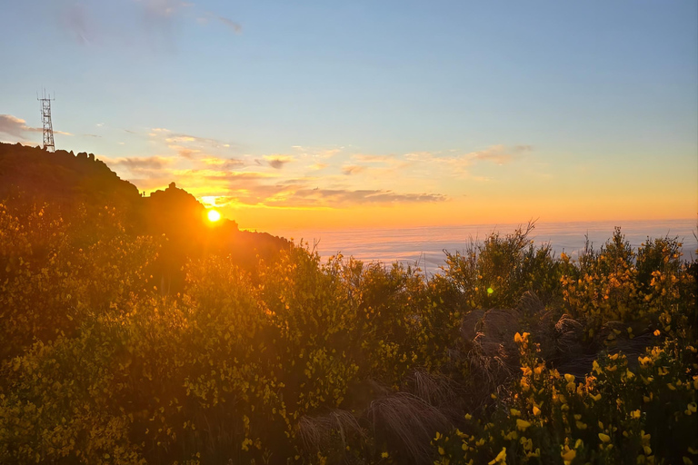 Madeira: Pico do Arieiro Sunrise Tour