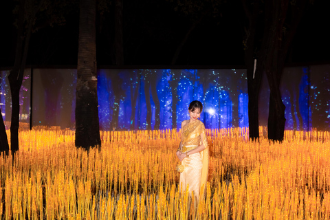 The Lens: Once-a-Year Light Festival Journey Light Festival at Na Satta Park: Magical Once-a-Year Moment