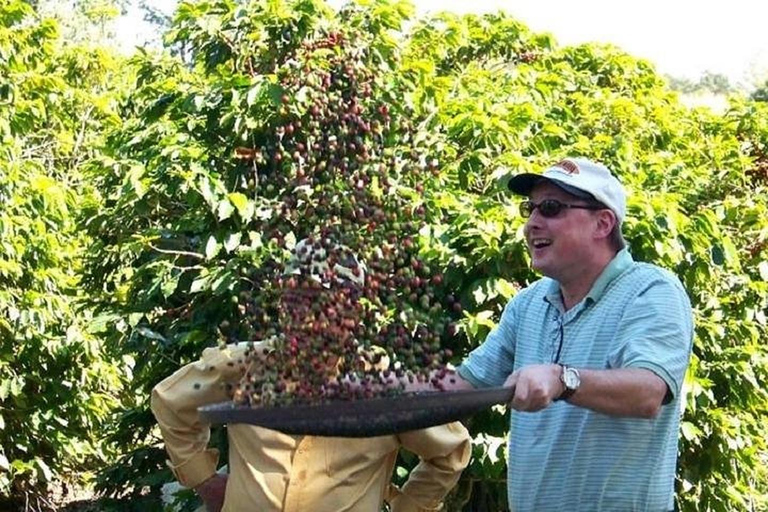 São Paulo Brazilian Coffee Culture & Farm Lunch Tour