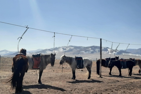 Ulaanbaatar: Mongolian Culture Tour with full day activities