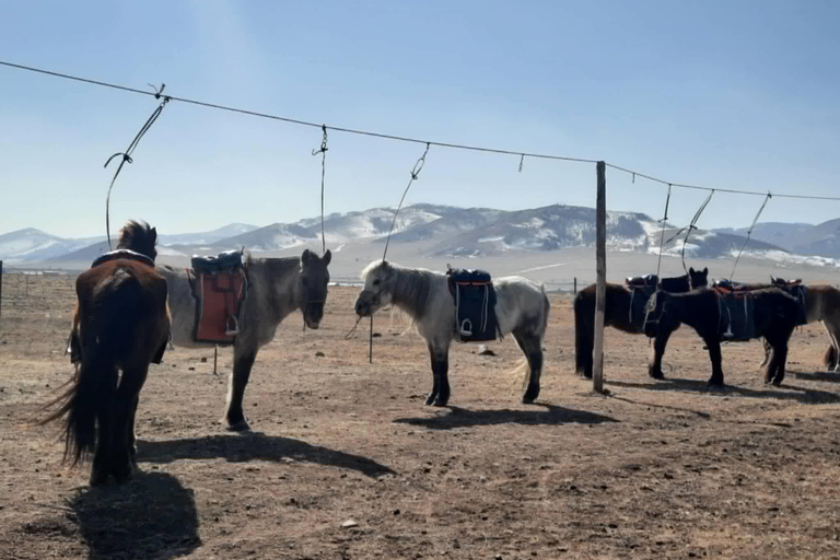 Ulaanbaatar: Mongolian Culture Tour with full day activities