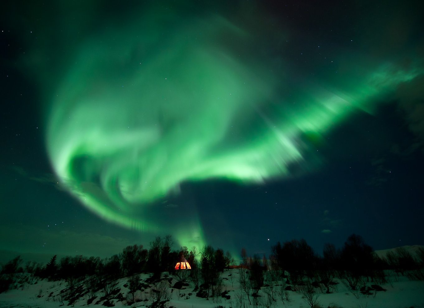 Tromsø: Nordlys Husky-besøg med traditionel middag