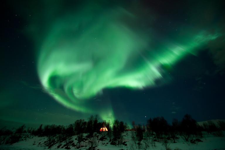 Tromsø: Visita ao Husky da Aurora Boreal com jantar tradicionalTromsø: Aurora Boreal e Jantar em Acampamento de Huskies