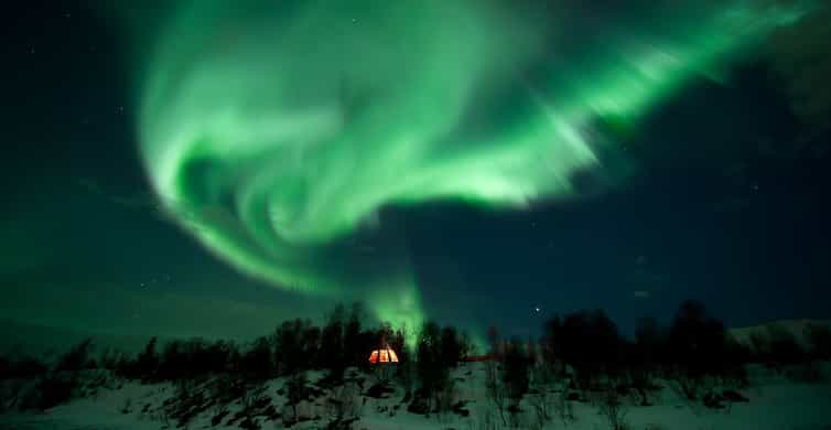 Tromsø: Nordlys Husky-besøg Med Traditionel Middag | GetYourGuide