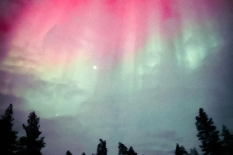 Saariselkä,Kakslauttanen: Aurora Hunting & Photography Tour. Private Aurora Hunting & Photography Tour By Minivan