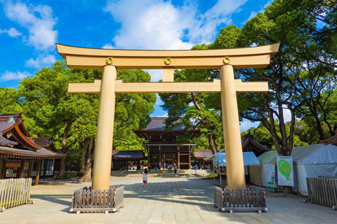 Tokyo: Skytree, Asakusa, and Meiji Shrine ,Shibuya crossing,