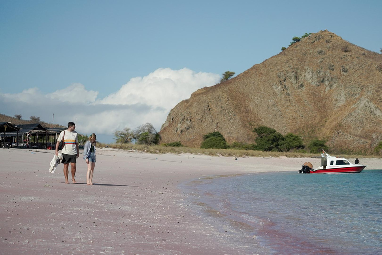 Labuan Bajo: Full-Day Komodo Speedboat Tour with Snorkeling