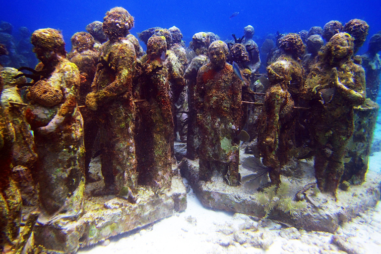 Cancun: 2-Tank Dive for Beginners with MUSA and Reef Dive