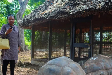 桑给巴尔：监狱岛、纳库彭达沙滩和萨拉姆海龟游泳私人观光（含接送服务）