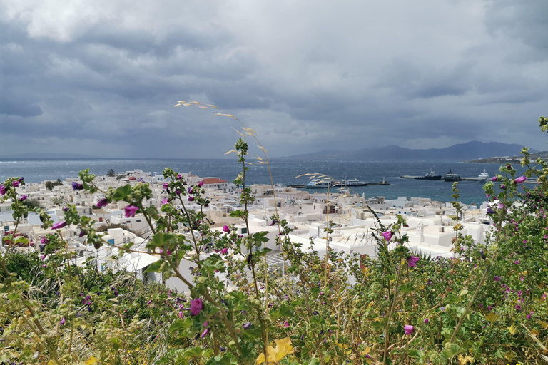 Mykonos: Town Highlights Walking Tour with Greek Bites