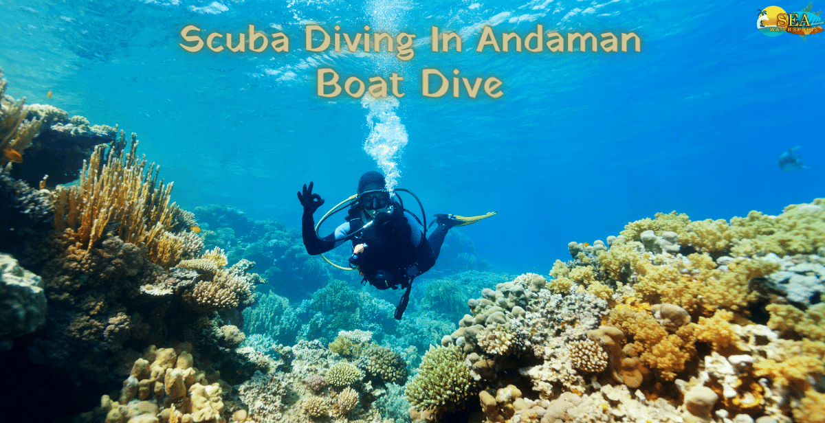 Scuba Diving in Andaman (Boat Dive) GetYourGuide
