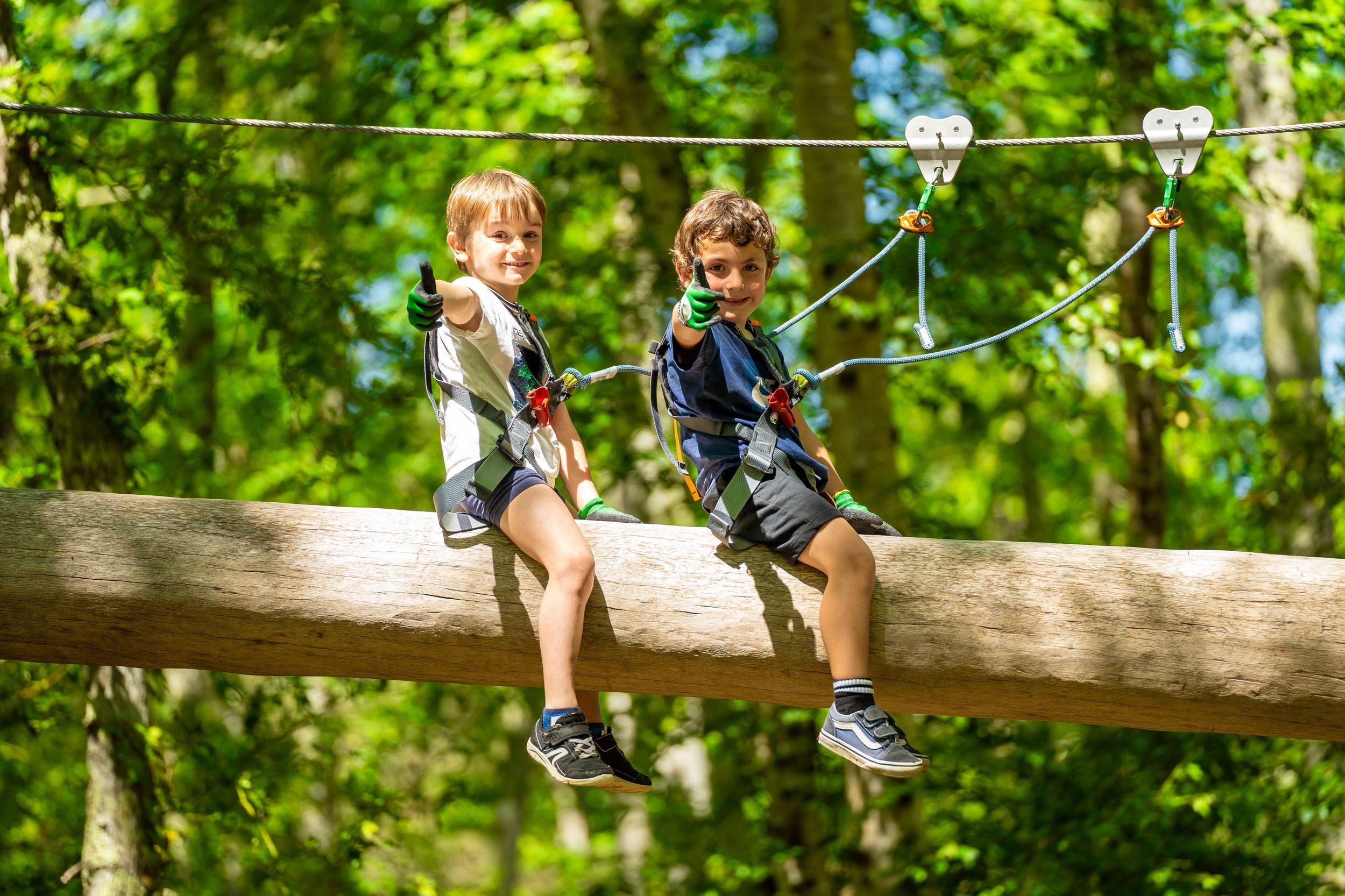 Ecopark Adventures: Baumkletterpark