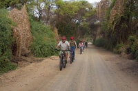 Visite spécialisée du vélo de montagne dans le Sanctuaire de la forêt Pomac - Housity