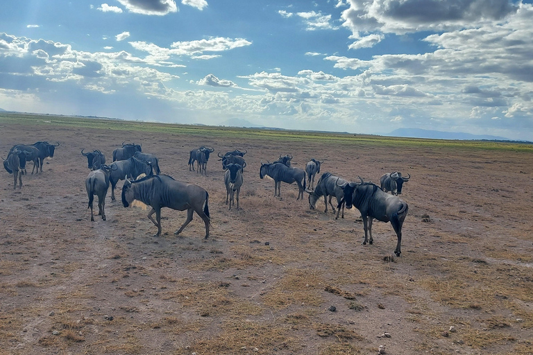 Red Elephants & Kilimanjaro Views: 3-day Tsavo East/Amboseli