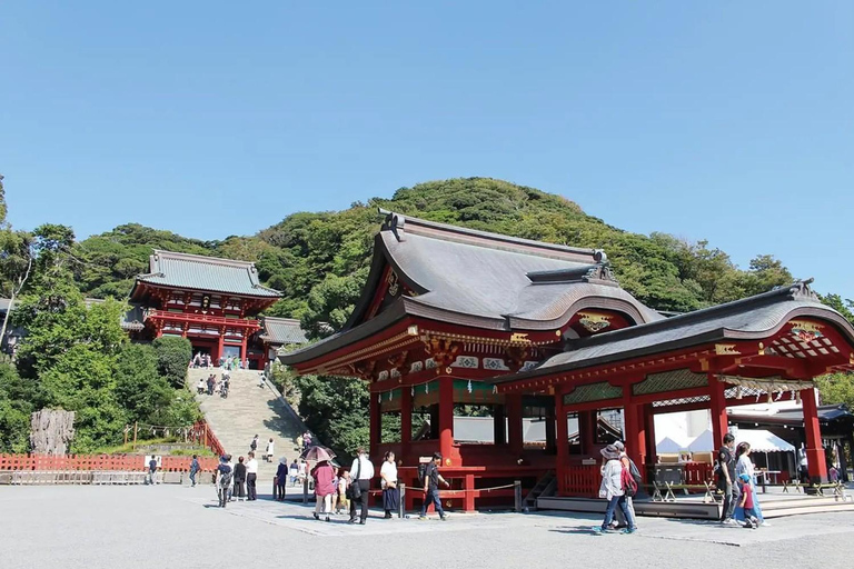 Tokyo: Kamakura Full Day Private Customizable Tour