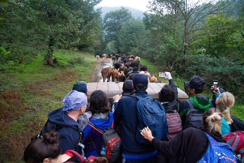 Baku: Southern Azerbaijan Hot Springs and Nature Tour 1-Day Lankaran Hot Springs Tour – Standard (No Meals)