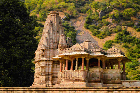 Jaipur: Haunted Bhangarh Fort Full Day TripPrivate Tour With Transportation + Guide + Lunch