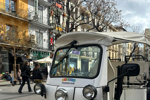 Valencia: Besuche das historische Zentrum von Valencia mit dem Tuk Tuk