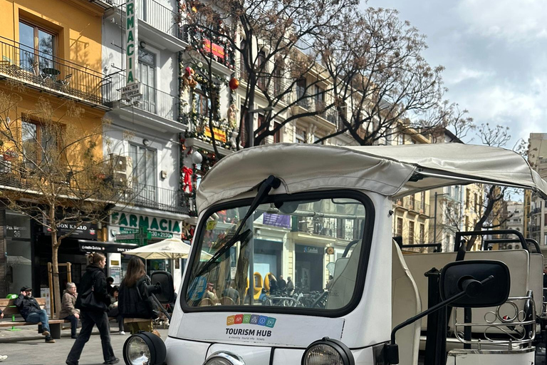 Valencia: Besuche das historische Zentrum von Valencia mit dem Tuk Tuk