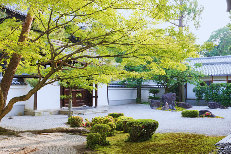 Osaka: Amanohashidate, Ine Boat Houses & Miyama Day Trip 1:Tango Amanohashidate + Ine + Miyama（Snacks for Seagulls）